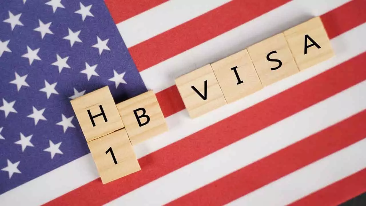 Indian Tech Cos Bag 1/5 H-1B Visas