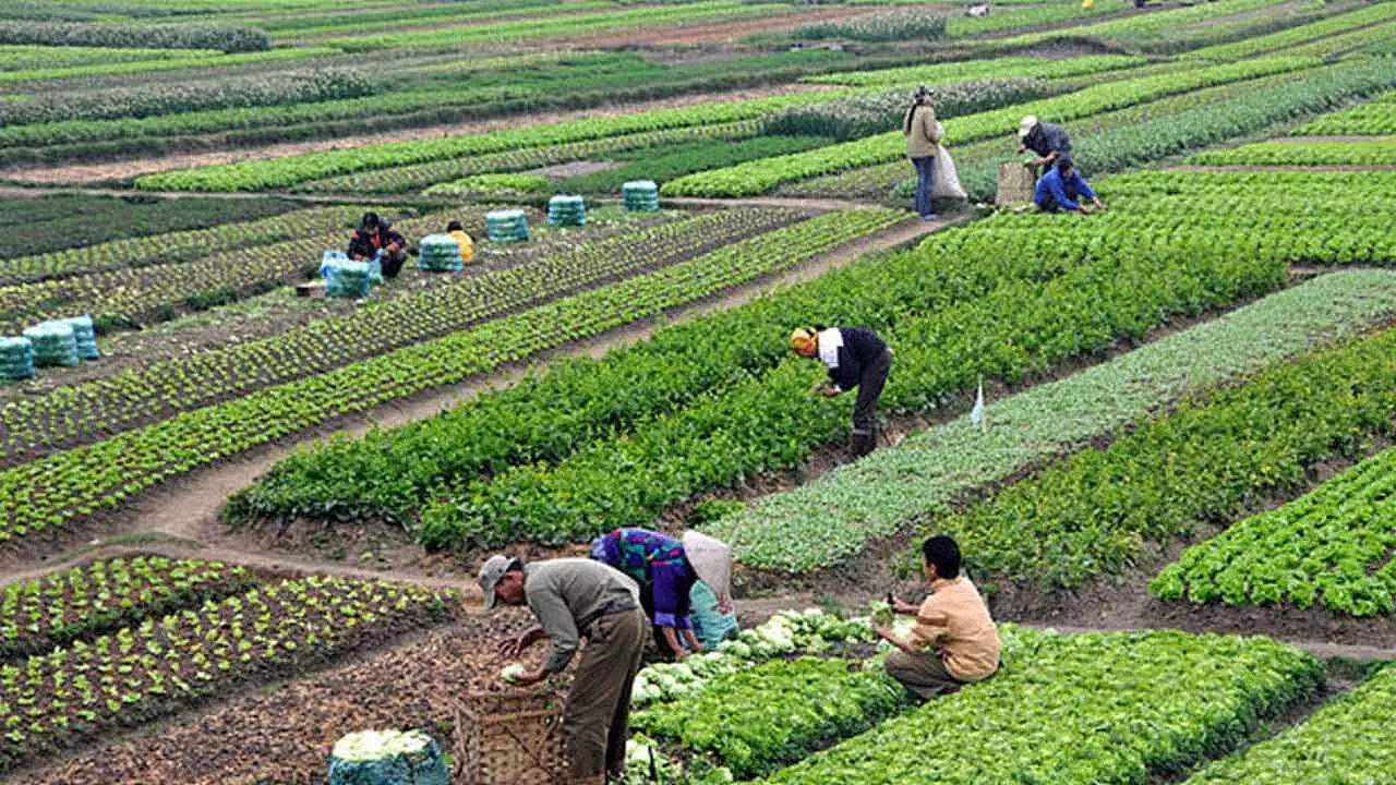 Centre Lists Clusters For Natural Farming