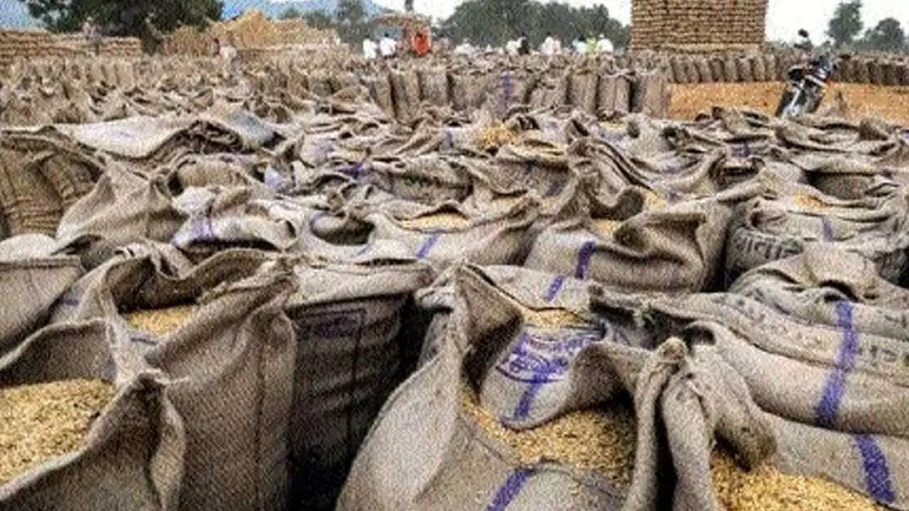 Govt Fixes 8.19% Return On Capital’ For Jute Bag Supplies