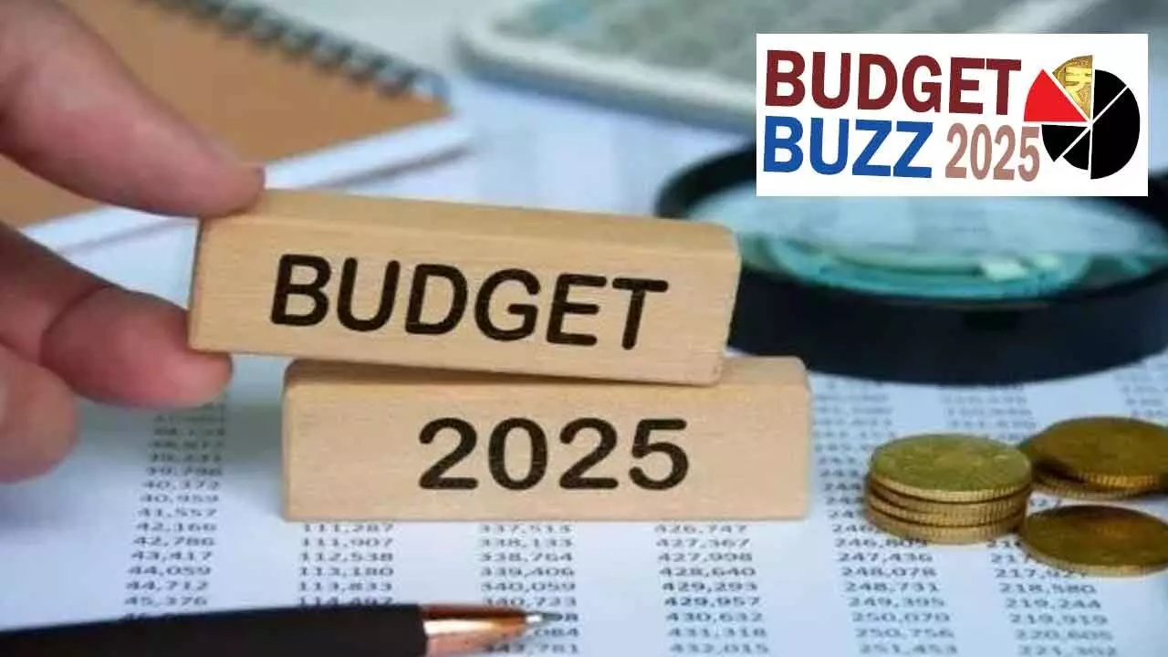 Fintech And EV Industries Readying Their Budget-2025 Wish List