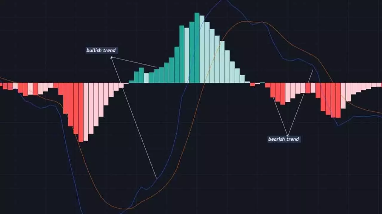 MACD Signals Increased Bearish Bias