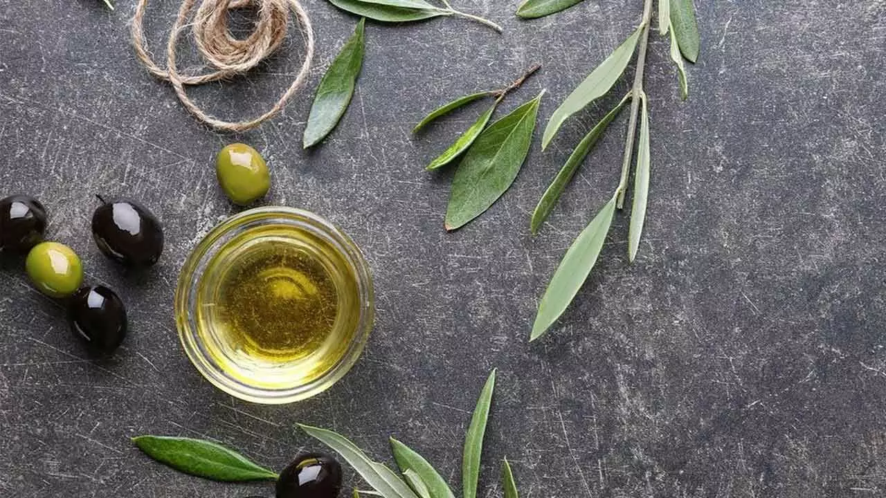 Olive Leaf And Its Extract More Beneficial As A Good Supplement To Healthy Diet