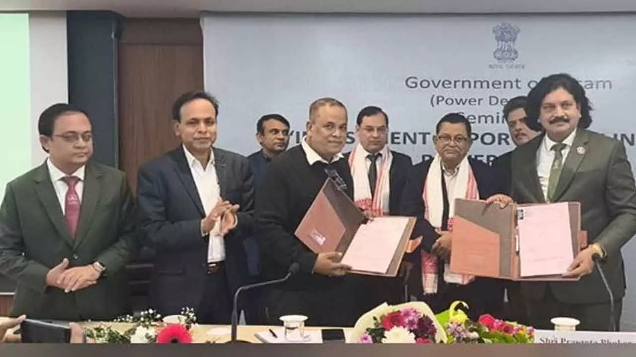 NLC India-APDCL To Develop 1000 MW Solar Power Projects In Assam