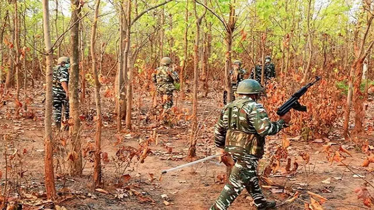 3 Naxals Killed In Encounter With Security Forces