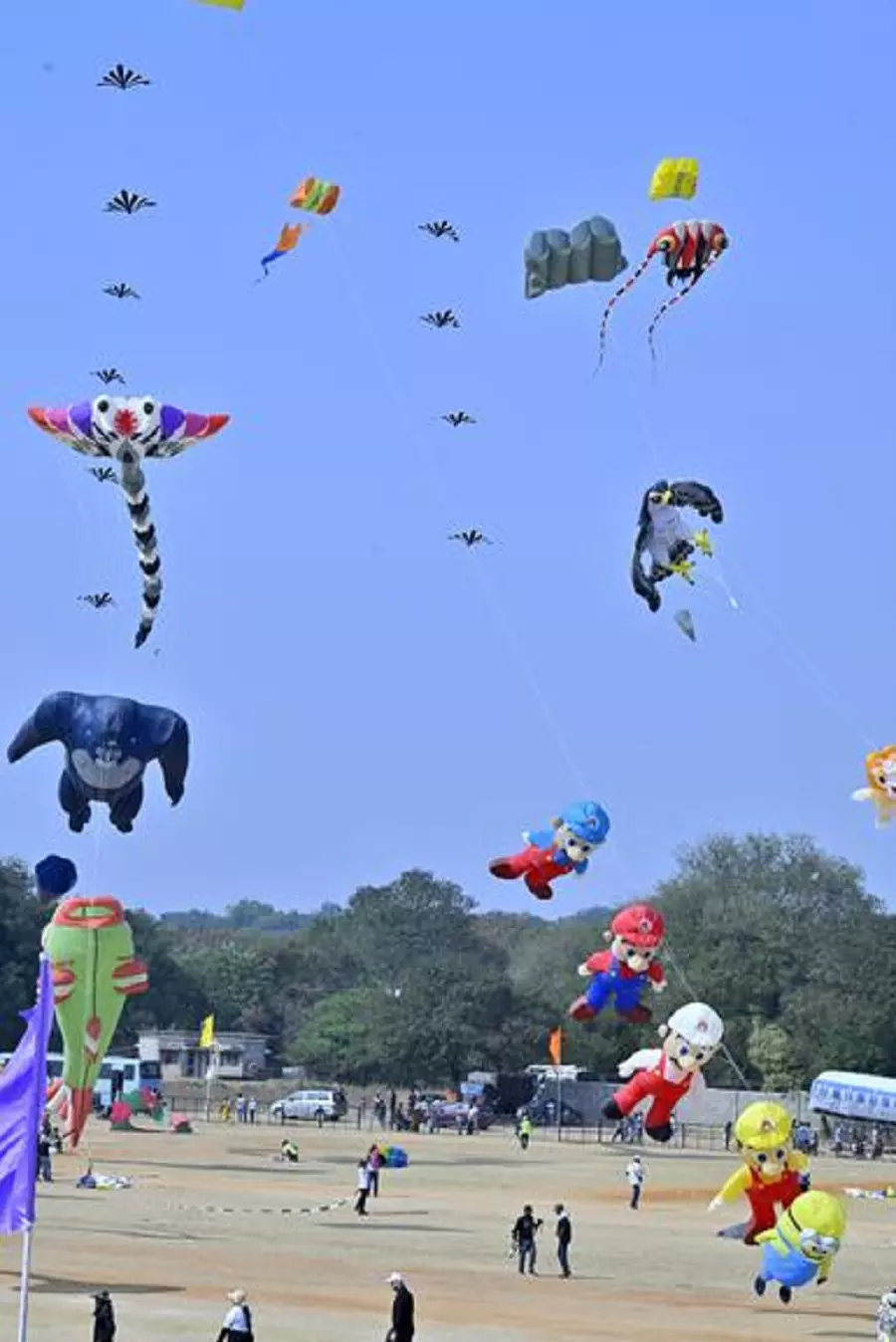 Three-day International Kite and Sweets Festival begins at Parade Grounds