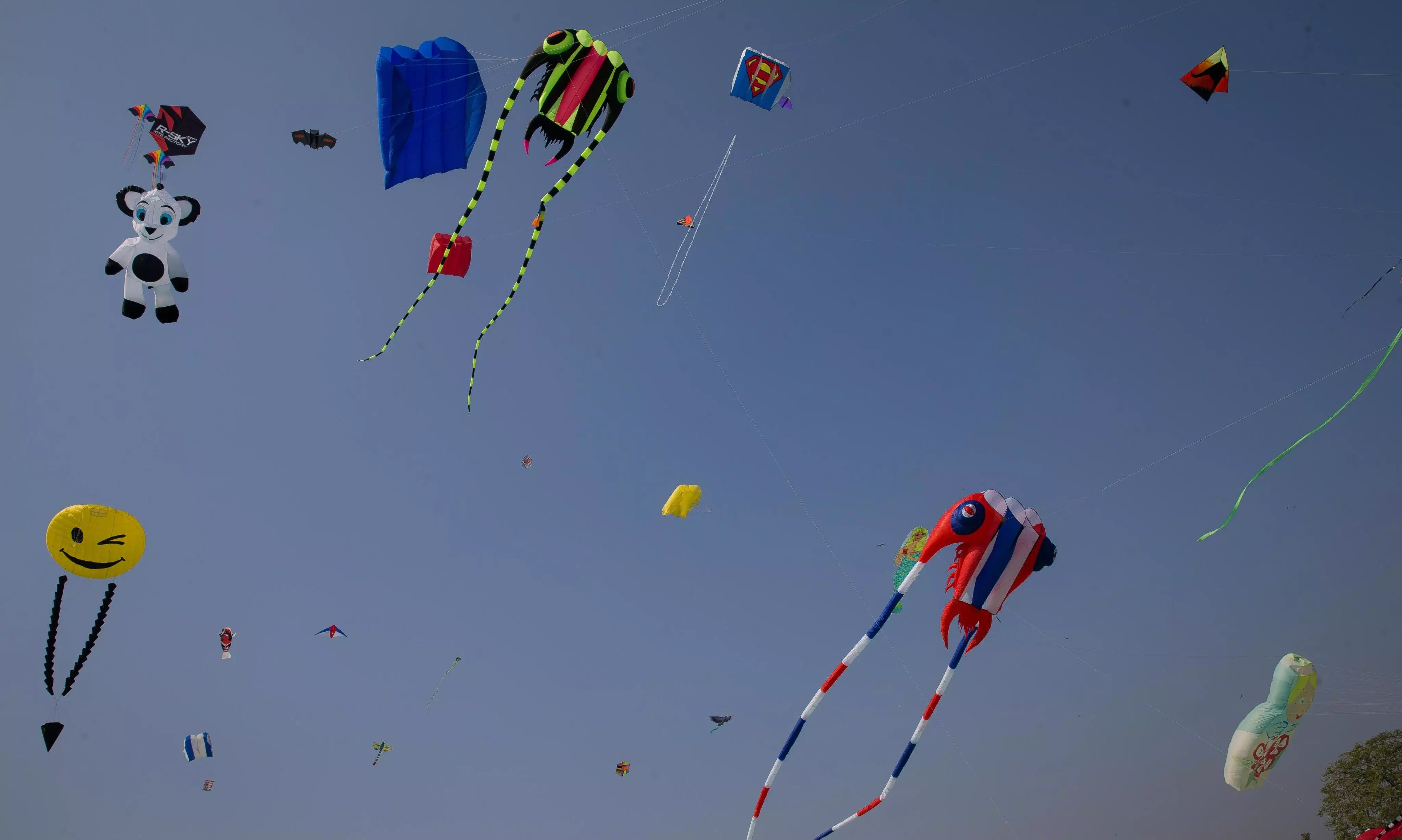 Azure Skies of Hyderabad Set the Stage for the Seventh Edition of the International Kites Festival