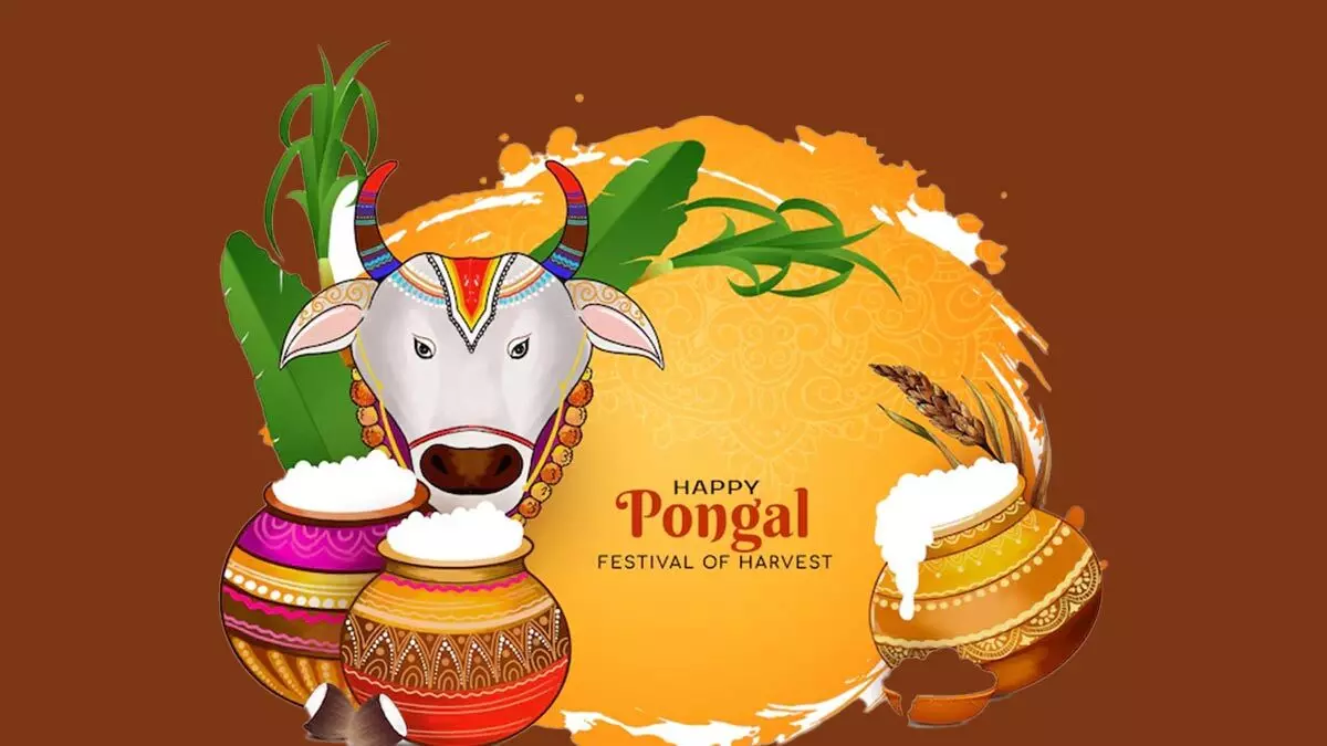 Happy Pongal 2025: Wishes, Quotes, Messages, Images, Greetings, Cards, and GIFs