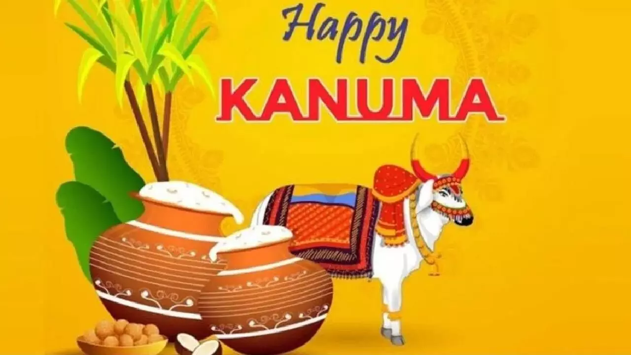 Kanuma Festival Wishes: Heartfelt Messages in Telugu