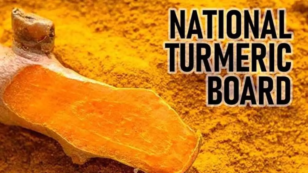 National Turmeric Board Opened