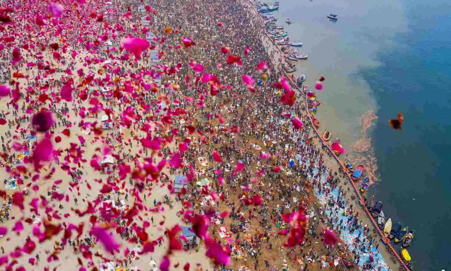 Maha Kumbh Mela 2025: Google Celebrates with Pink Petal Animation