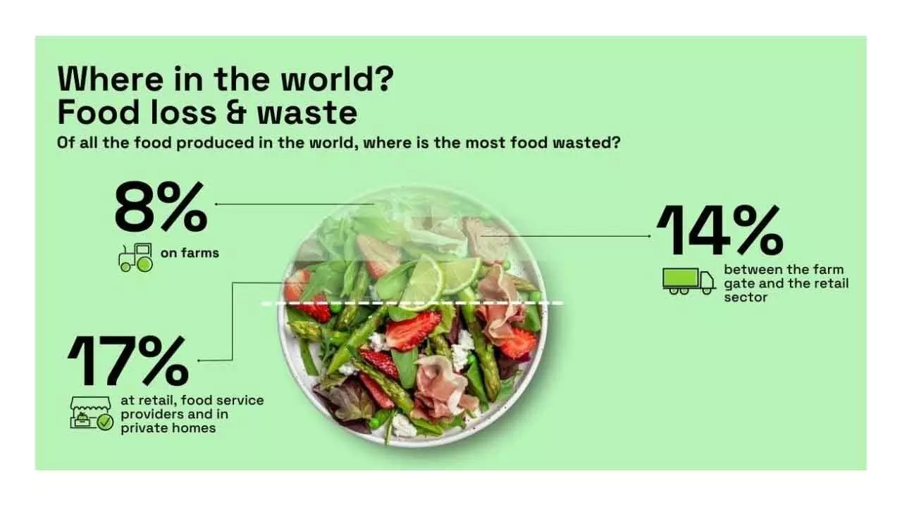 Lead By Example: Save Environmental Costs By Cutting Down Household Food Waste