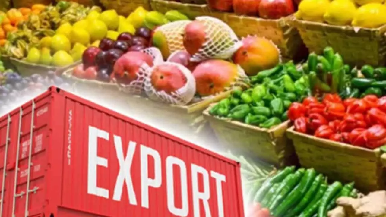 India’s Exports Of Food Jump 11% To $17.8 Bn