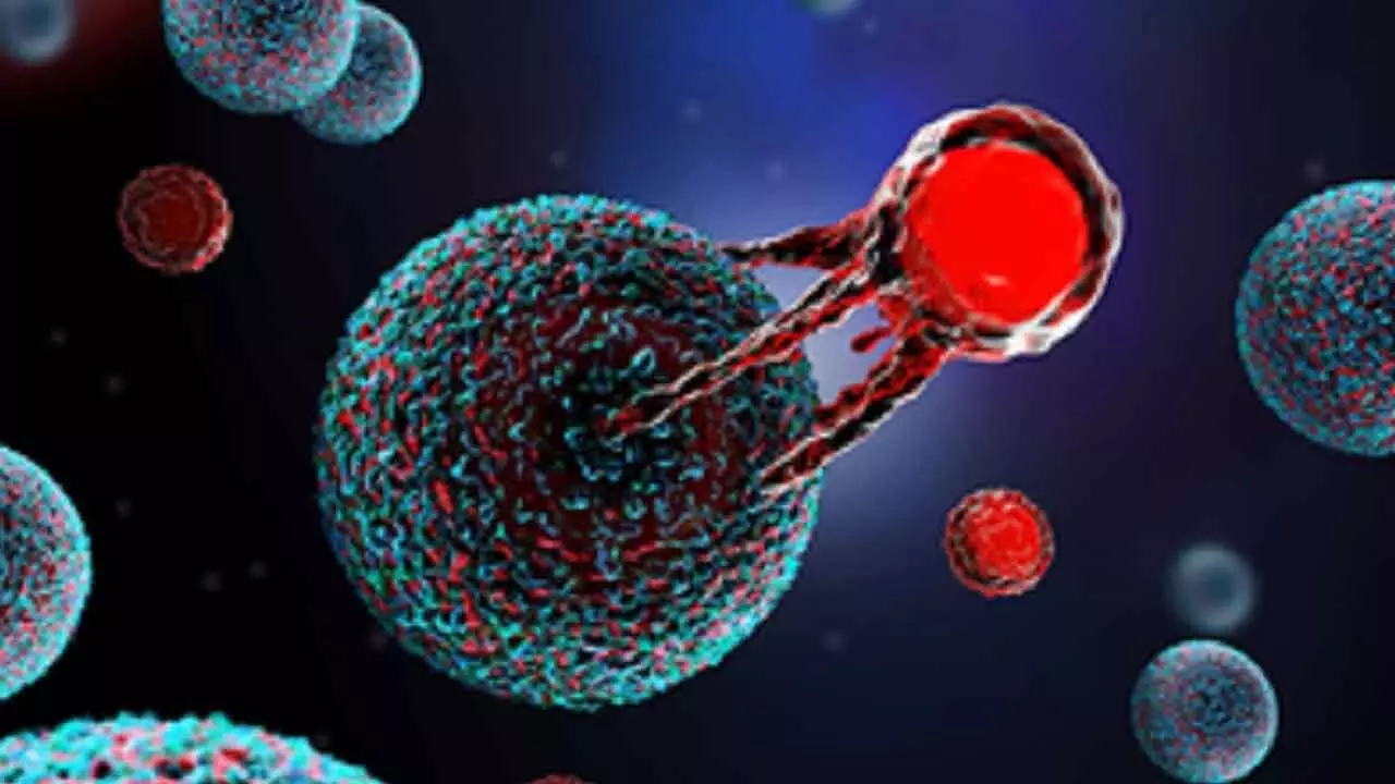 Immuneel Launches Affordable CAR T-cell Therapy For Non-Hodgkin’S Lymphoma