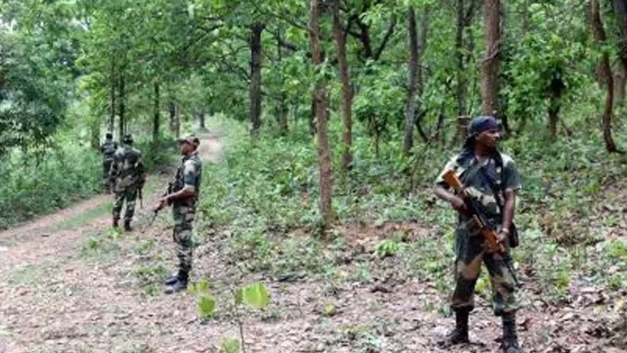 14 Maoists Killed Along Odisha, Chhattisgarh Border