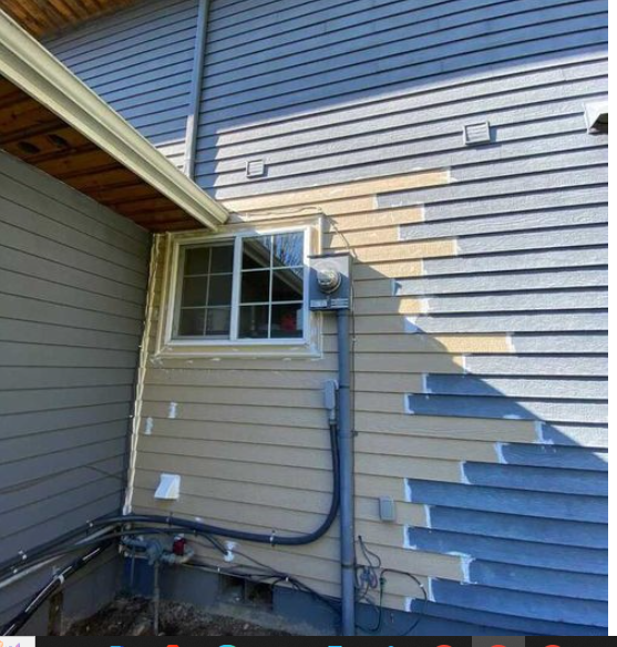 Why Washington Homes Are Prone to Siding Rot and How to Prevent It