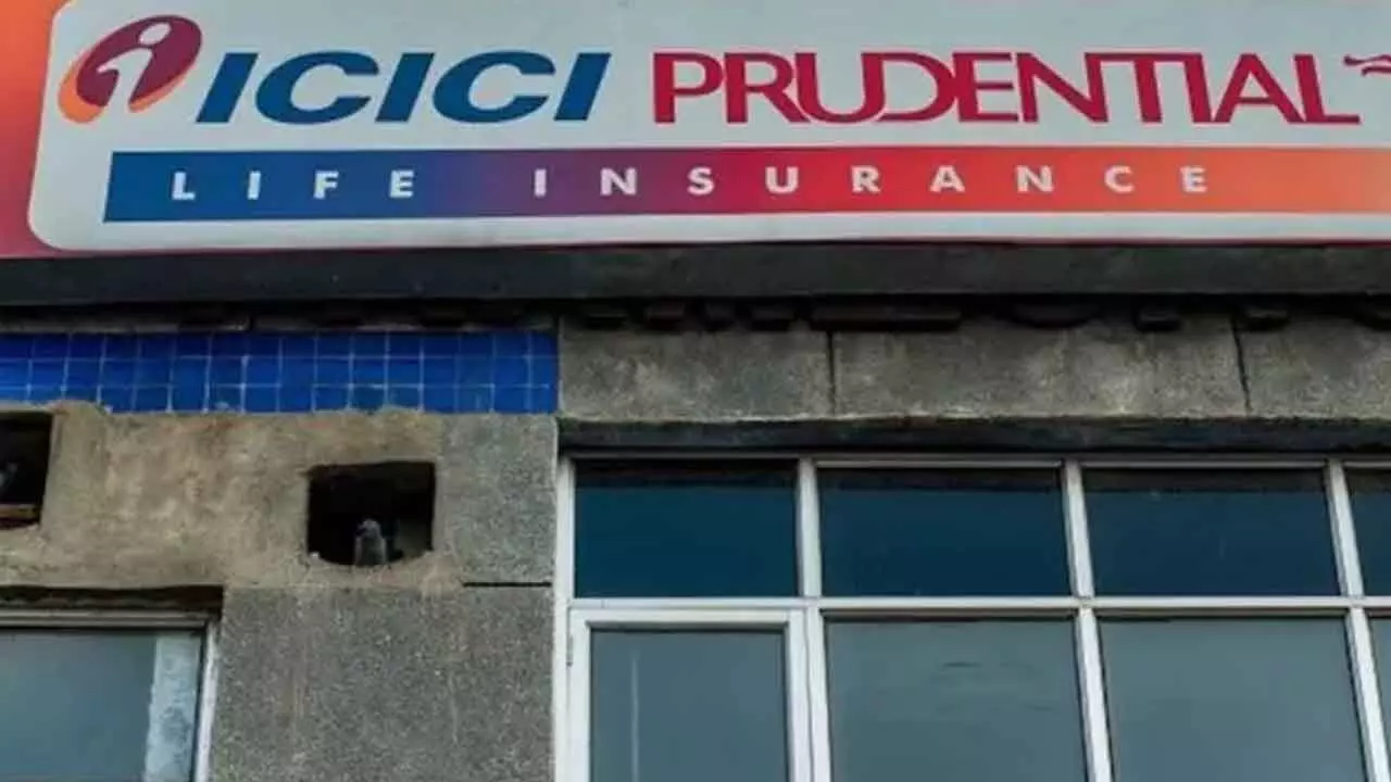 ICICI Pru Life Stock Plunges 9%