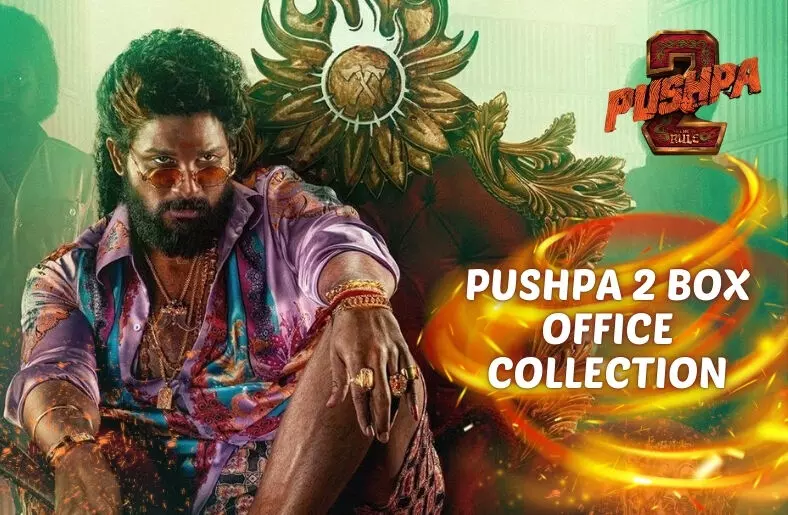 Pushpa 2 Collections: IT Raids Uncover Financial Discrepancies in Record-Breaking Movie