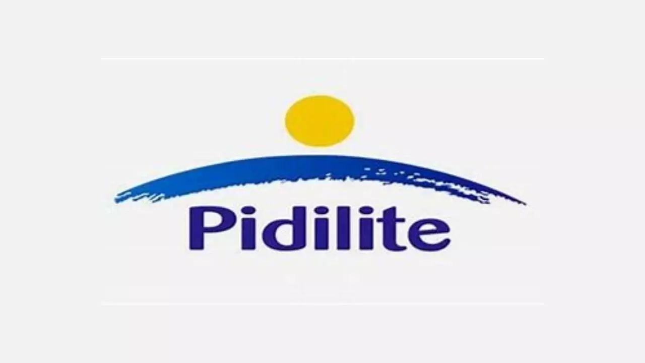 Standalone Q3 Ebitda margins of Pidlite Industries at 24.3%