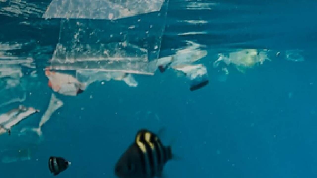 WEF 2025 25 countries unite to fight against global plastic pollution