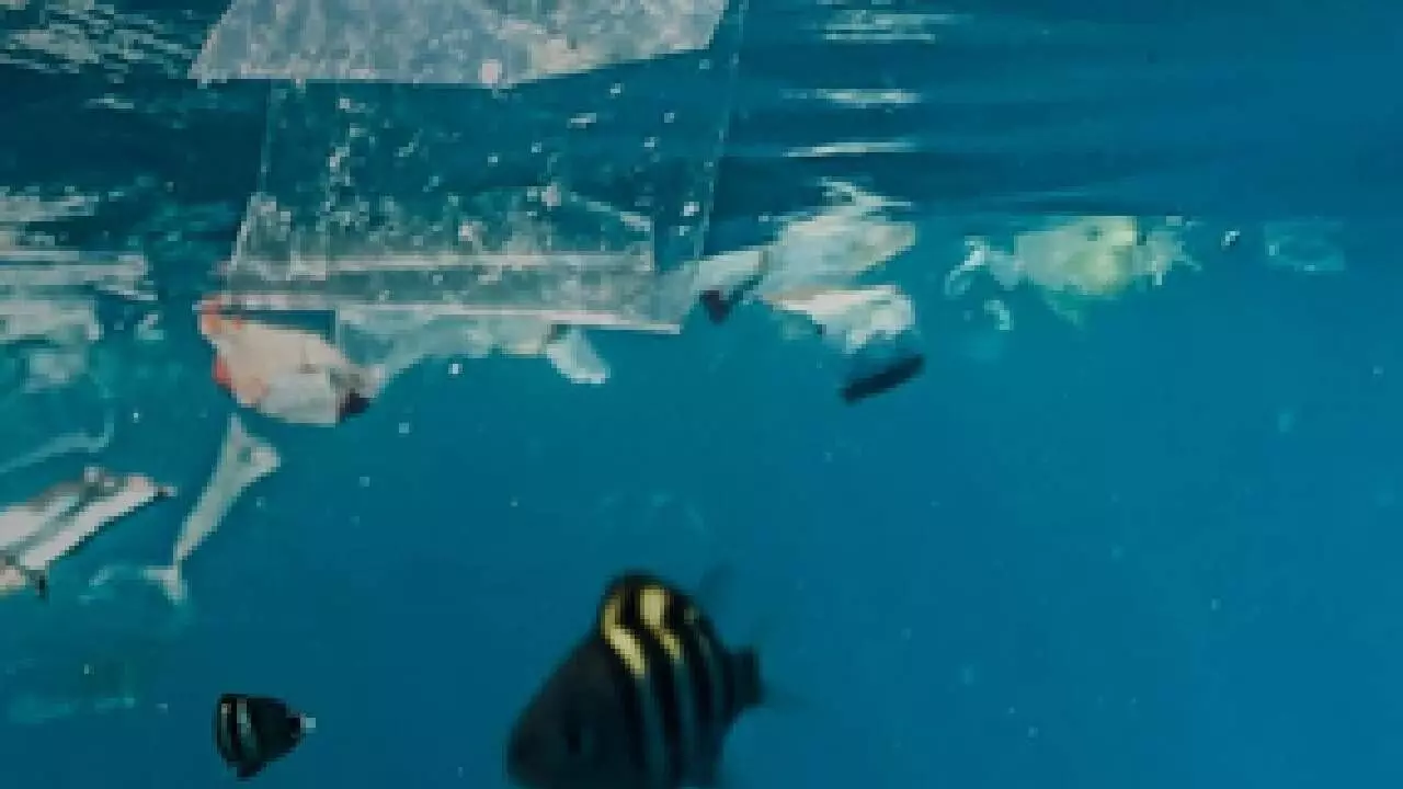 WEF 2025: 25 countries unite to fight against global plastic pollution, climate change