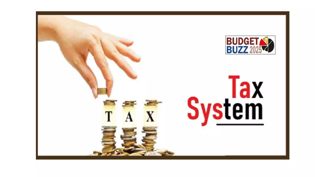 Stable Tax System Is Vital: Experts