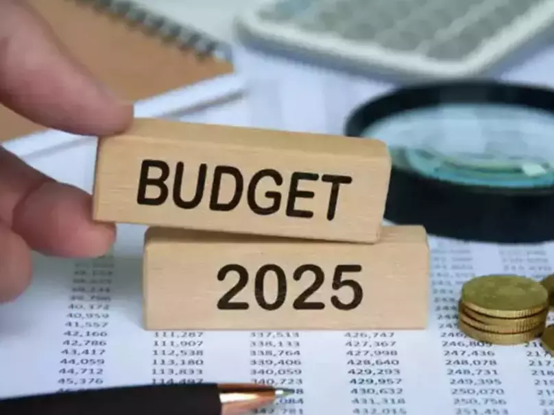 Union Budget 2025: Tax relief and urban growth key to FMCG sectors recovery