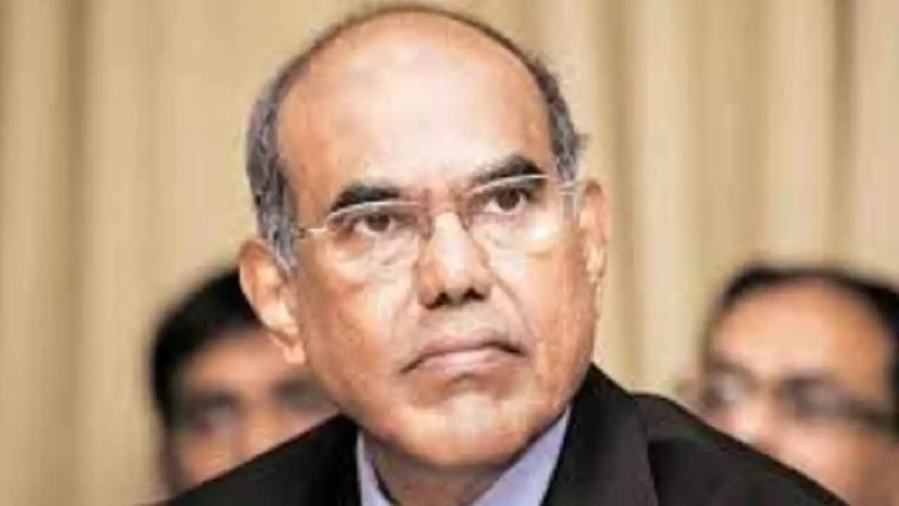 South’s Move To Boost Population Not Good: Ex-RBI Guv Subbarao