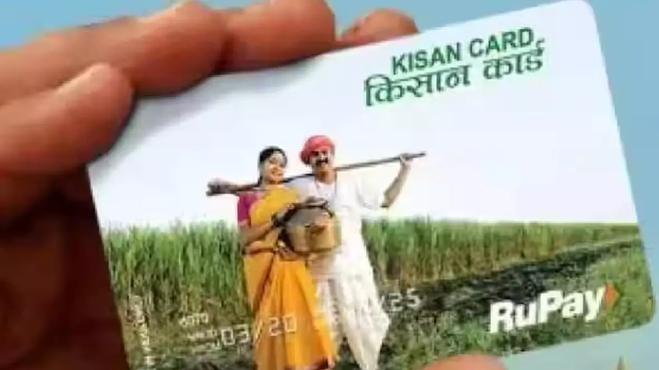 Number of Kisan Credit Cards rises to 7.5 crore, loans jump to Rs 9.81 lakh crore