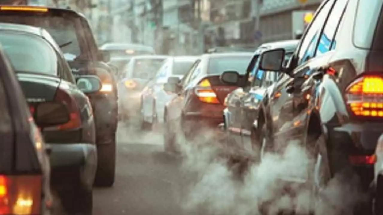 Low-Level Traffic Air Pollution Can Damage Liver