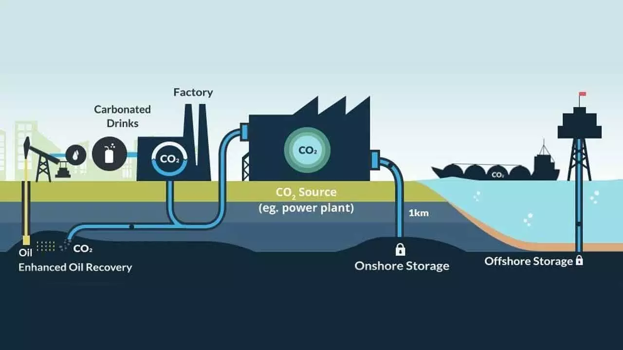 Ramky Group with IIT-B, Others Launches Carbon Storage Near Vizag