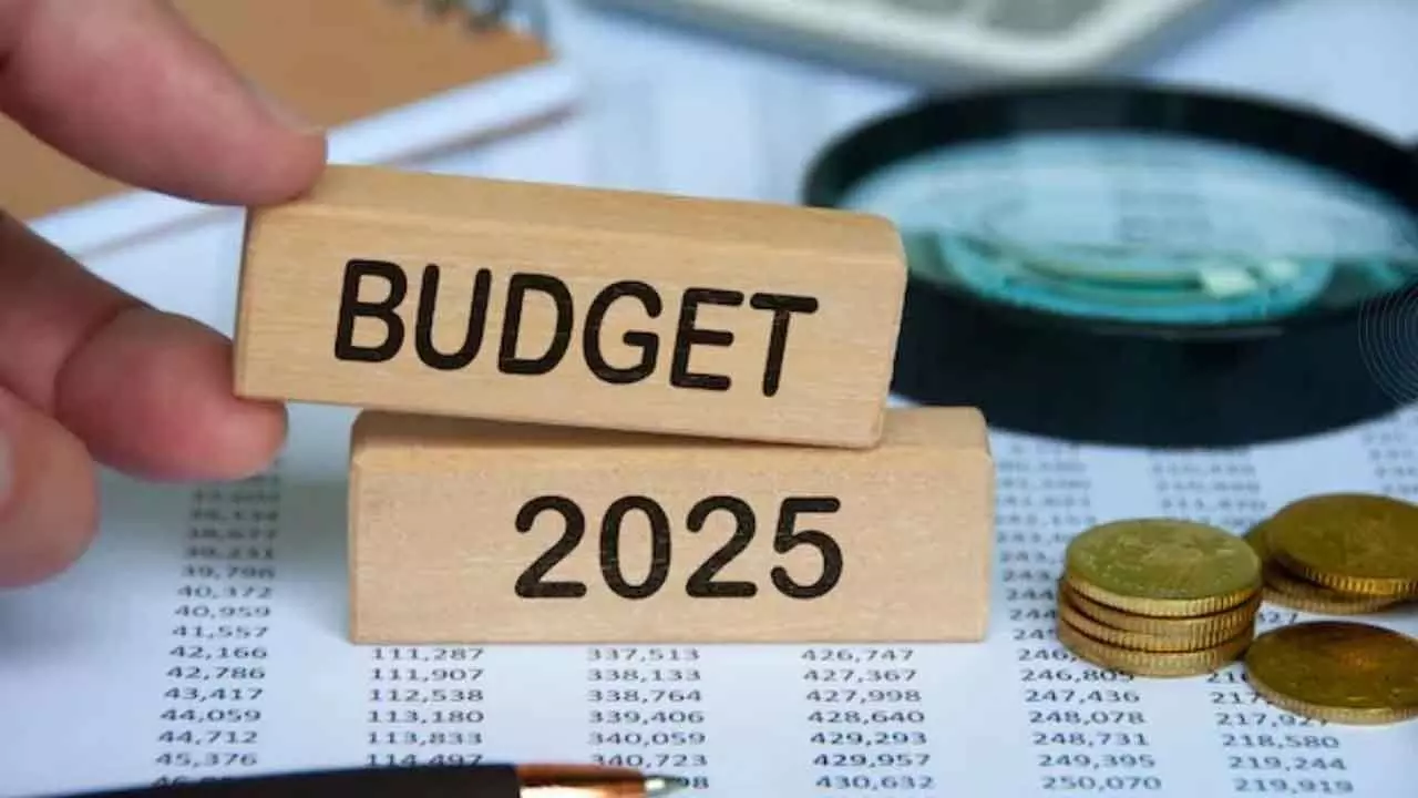 Budget On Expected Lines: Gulf NRIs