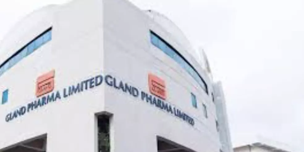 Q3 Results 2025 Highlights: Gland Pharmas revenue drop by 10% to Rs 1,384 crore