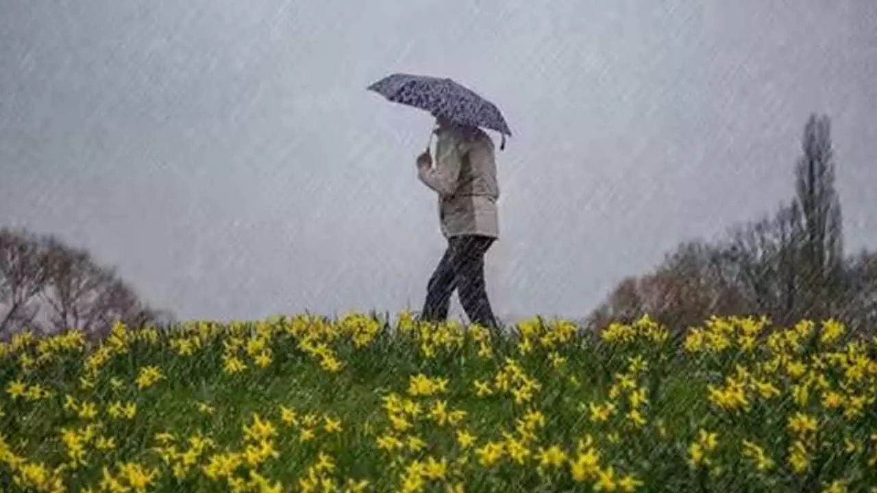 Can Your Aching Joints Really Predict The Weather?