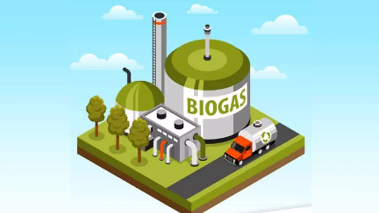 Increase in MSME Financing To Boost Biogas Industry: IBA