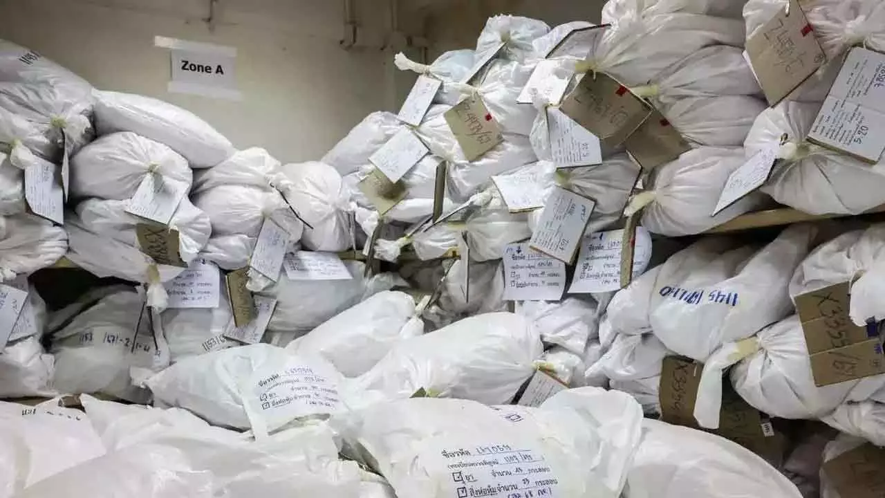 Narcotic Drug Seizure Declines 22% To 1,087 Tonnes In 2024