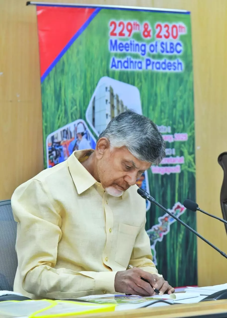 Be partners in Swarnandhra Vision-2047, Naidu tells bankers