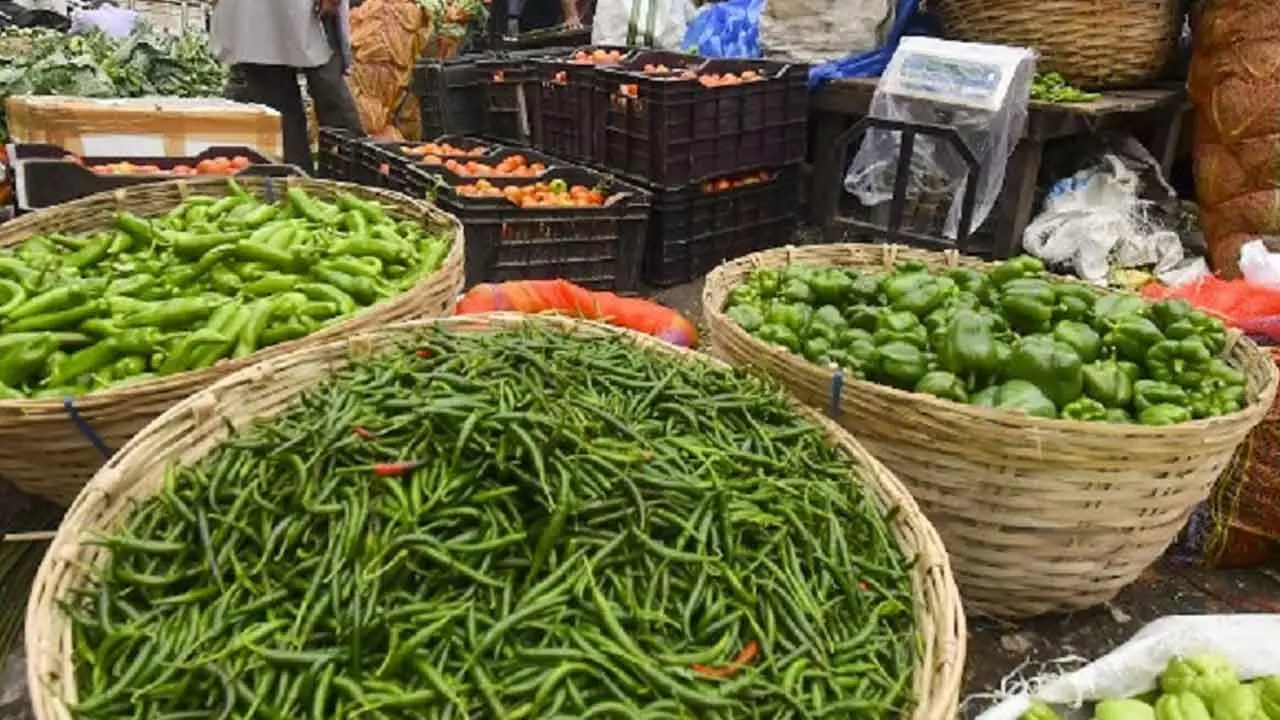 Steps To Stabilise Vegetable, Chilli Prices: AP CS