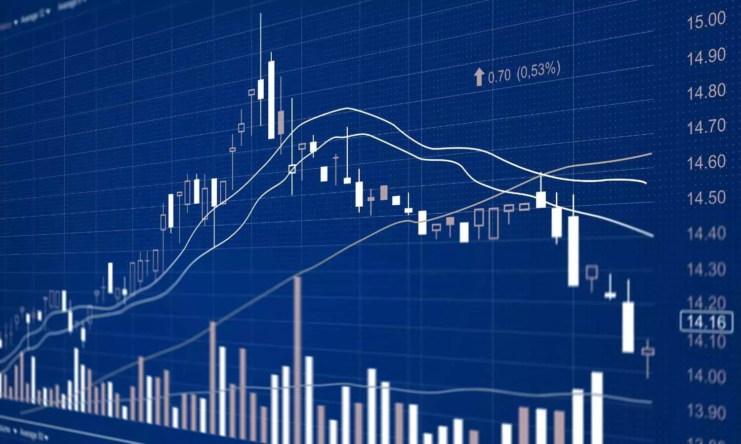 Will the stock market be open on Chhatrapati Shivaji Maharaj Jayanti (February 19)?