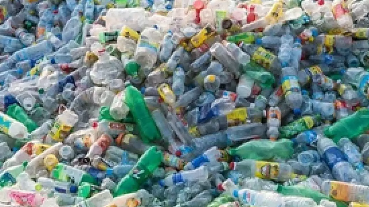 Call For Action To Reduce Burning Of Plastic In Developing Nations