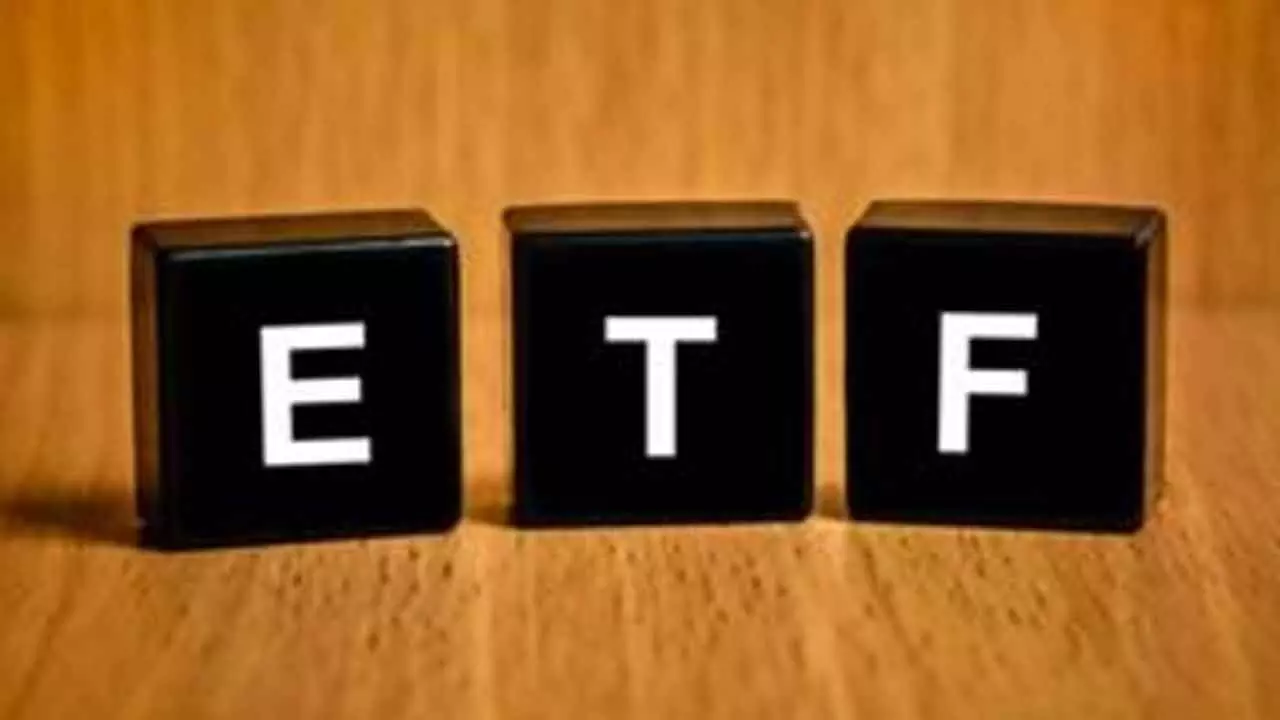 India-Focused Offshore Funds, ETFs Log Record Net Inflows