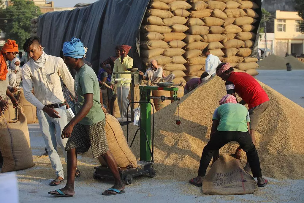 Govt tightens wheat stock limit for traders, retailers to keep prices under control