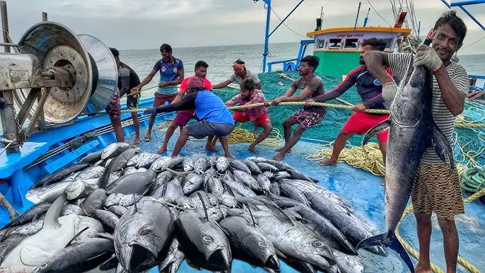 Enhancing deep-sea fishing capacity to increase seafood exports to Rs1L crore: Union minister