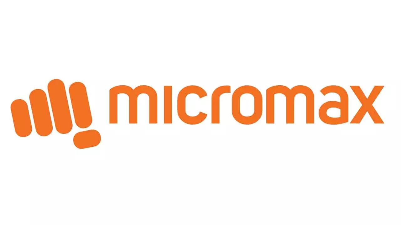 Micromax Makes Foray Into Renewable Energy Space