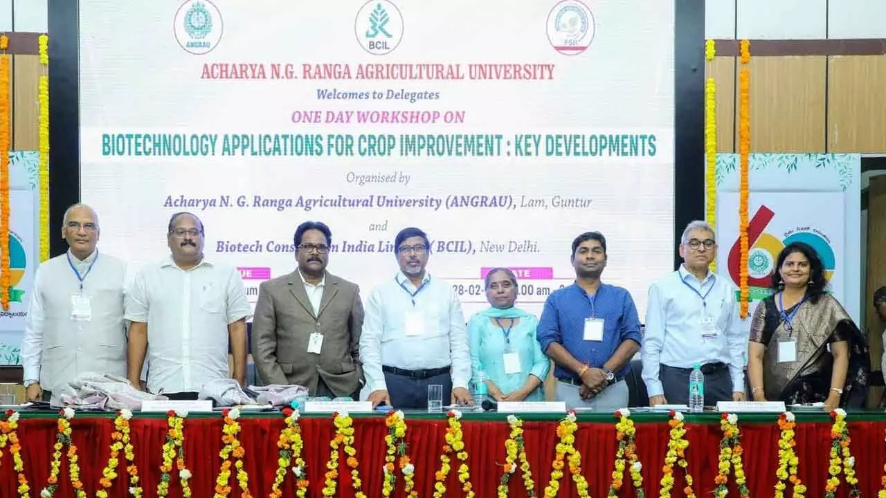 Experts Hail Biotech As Key Driver Of AP’s Agri Success