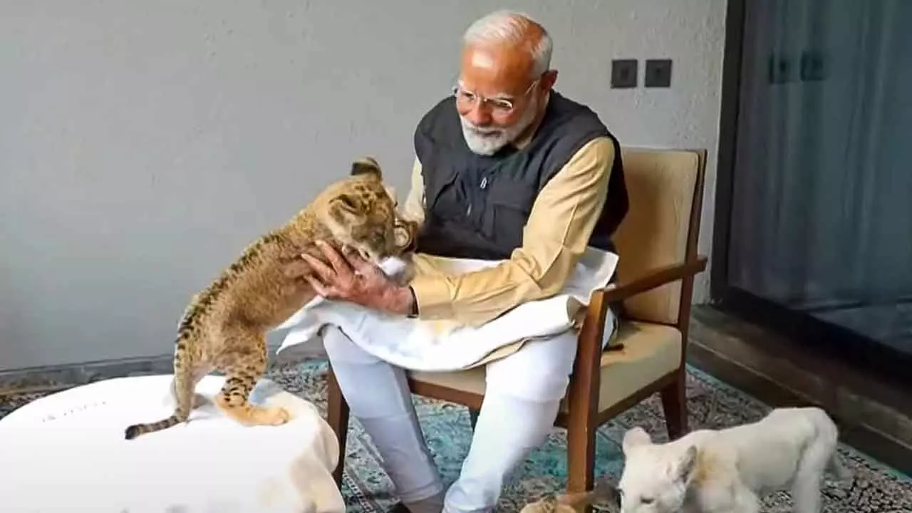 PM Modi hails Vantara, Asks People To Focus On Kindness Towards Animals