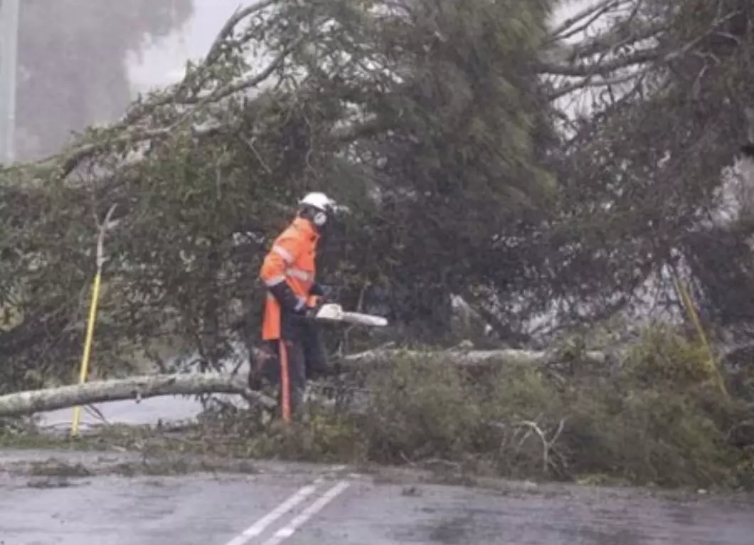 Cyclone Alfred threatens Australia: Schools shut, transport disrupted