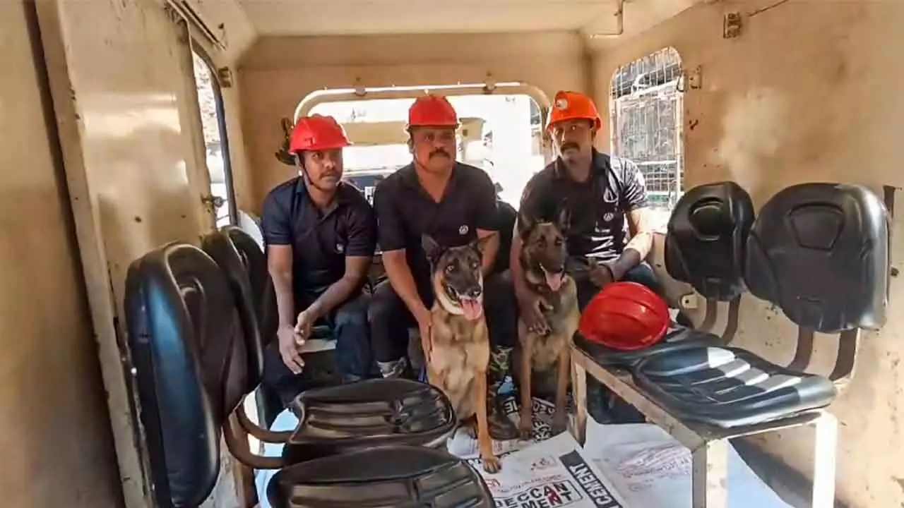 Tunnel Collapse: Cadaver Canines Sniff Human Presence Under Rubble