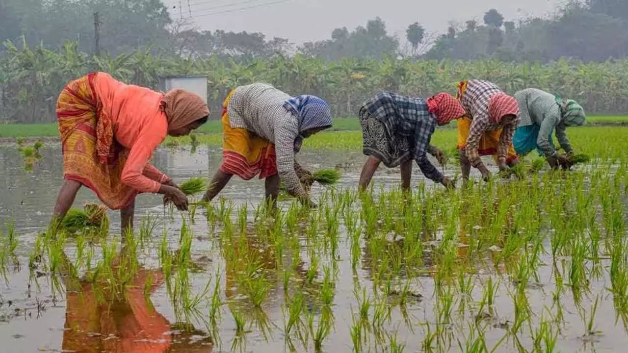 Empowering Women Farmers Key To India’s Agricultural Prosperity