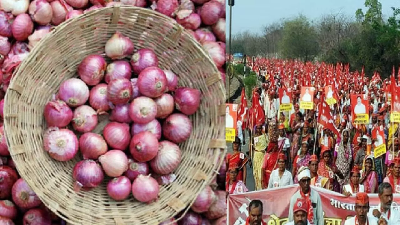 Onion auctions start at Nashik after protests