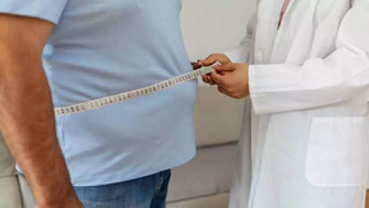 Study Links Diet, Waist-To-Hip Ratio With Cognitive Function